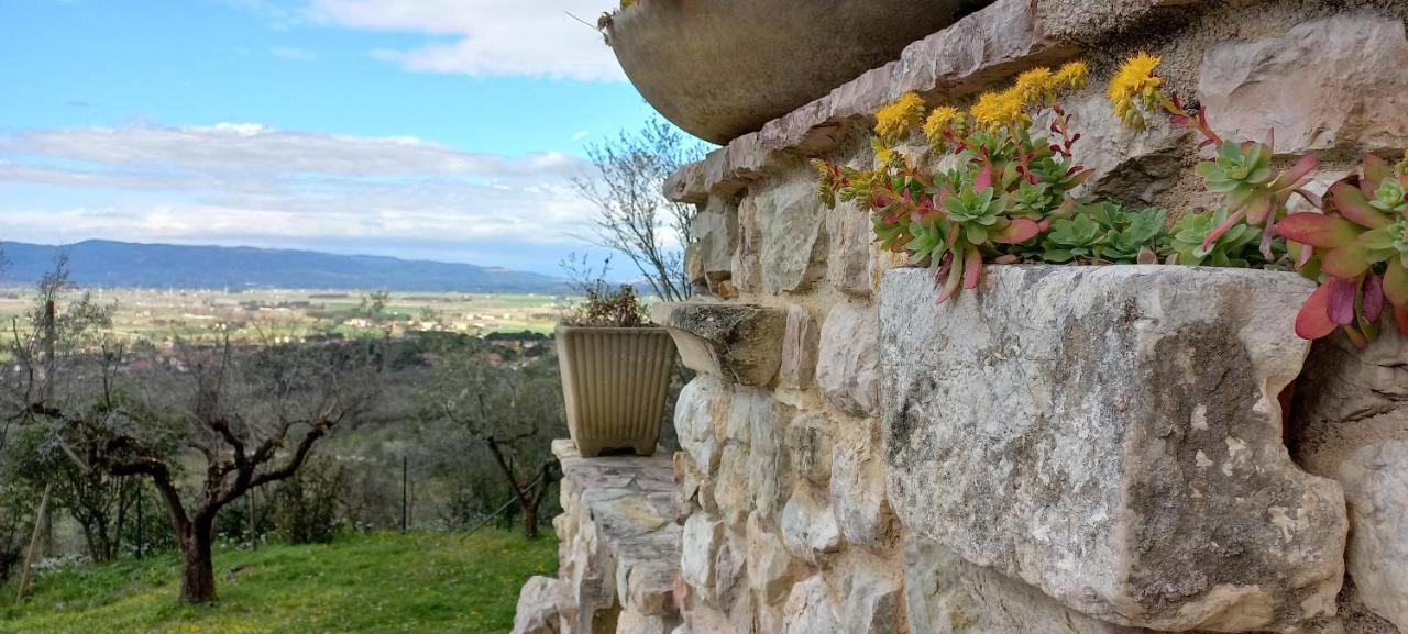 Domus Antiqua Bed & Breakfast Spello Exterior photo