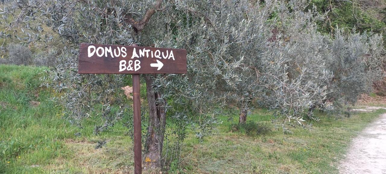 Domus Antiqua Bed & Breakfast Spello Exterior photo