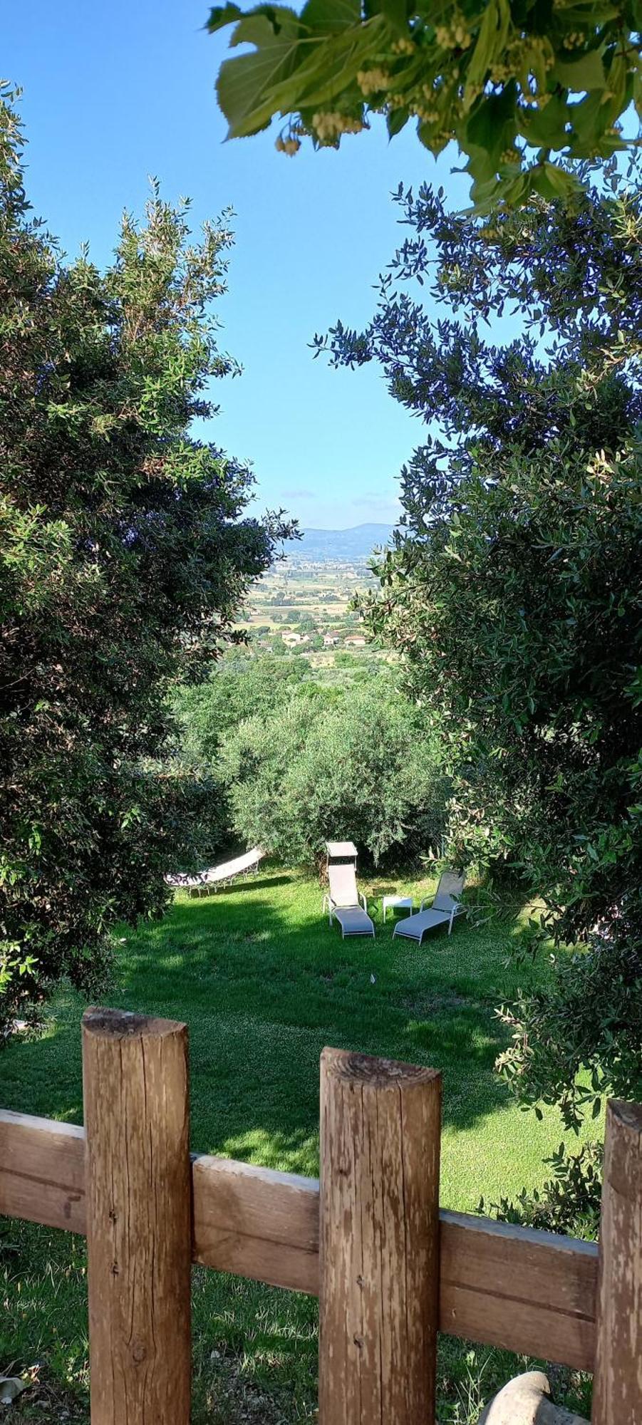 Domus Antiqua Bed & Breakfast Spello Exterior photo