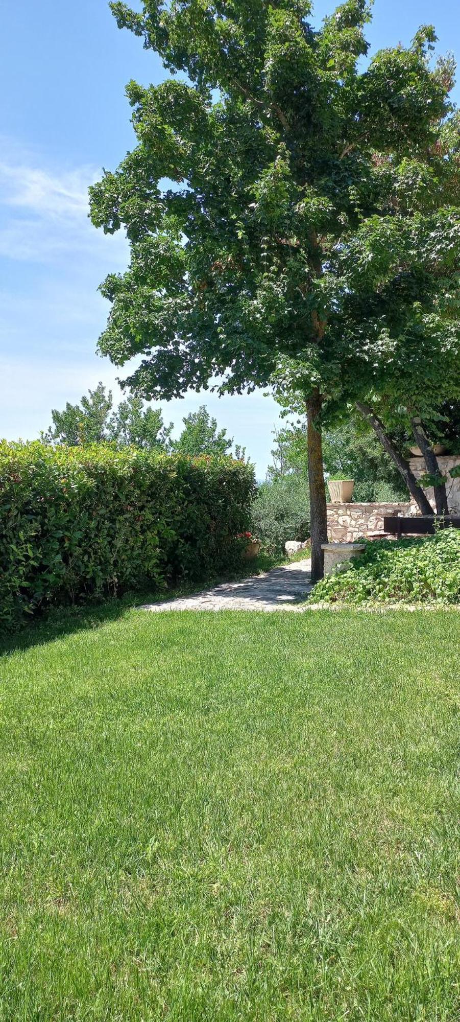 Domus Antiqua Bed & Breakfast Spello Exterior photo